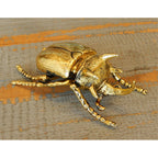 北欧雑貨 インテリア おしゃれ 真鍮 昆虫 メタル カブトムシ Beetle ビートル ブラス ブロストコペンハーゲン METAL Broste Copenhagen 02BS2