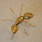 北欧雑貨 インテリア おしゃれ 真鍮 昆虫 メタル アリ 蟻 ANT アント ブラス ブロストコペンハーゲン METAL Broste Copenhagen 04BS2