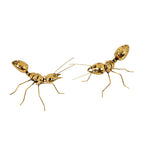 北欧雑貨 インテリア おしゃれ 真鍮 昆虫 メタル アリ 蟻 ANT アント ブラス ブロストコペンハーゲン METAL Broste Copenhagen 04BS2