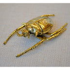 北欧雑貨 インテリア おしゃれ 真鍮 昆虫 エレファスゾウカブト ゾウカブト ビートル BEETLE アンティーク ブラス ブロストコペンハーゲン METAL Broste Copenhagen 06ABS1