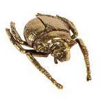 北欧雑貨 インテリア おしゃれ 真鍮 昆虫 エレファスゾウカブト ゾウカブト ビートル BEETLE アンティーク ブラス ブロストコペンハーゲン METAL Broste Copenhagen 06ABS1