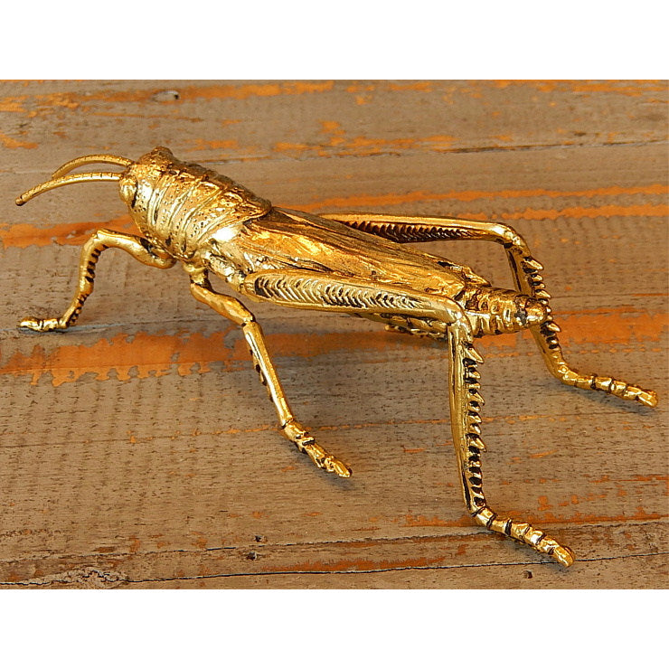北欧雑貨 インテリア おしゃれ 真鍮 昆虫 殿様バッタ 金色 グラスホッパー ゴールドカラー ブラス ブロストコペンハーゲン Broste Copenhagen 06ABS3