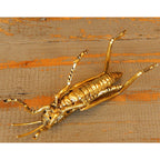 北欧雑貨 インテリア おしゃれ 真鍮 昆虫 殿様バッタ 金色 グラスホッパー ゴールドカラー ブラス ブロストコペンハーゲン Broste Copenhagen 06ABS3