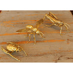 北欧雑貨 インテリア おしゃれ 真鍮 昆虫 殿様バッタ 金色 グラスホッパー ゴールドカラー ブラス ブロストコペンハーゲン Broste Copenhagen 06ABS3