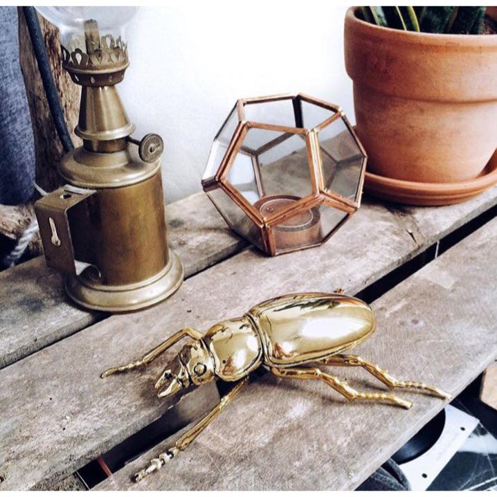 北欧雑貨 インテリア おしゃれ 真鍮 昆虫 メタル オオクワガタ メス Stag beetle worm スタッグビートル ブラス ブロストコペンハーゲン METAL Broste Copenhagen 06BS1