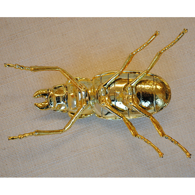 北欧雑貨 インテリア おしゃれ 真鍮 昆虫 メタル オオクワガタ メス Stag beetle worm スタッグビートル ブラス ブロストコペンハーゲン METAL Broste Copenhagen 06BS1