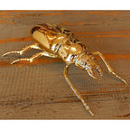 北欧雑貨 インテリア おしゃれ 真鍮 昆虫 メタル オオクワガタ メス Stag beetle worm スタッグビートル ブラス ブロストコペンハーゲン METAL Broste Copenhagen 06BS1