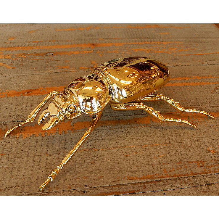 北欧雑貨 インテリア おしゃれ 真鍮 昆虫 メタル オオクワガタ メス Stag beetle worm スタッグビートル ブラス ブロストコペンハーゲン METAL Broste Copenhagen 06BS1