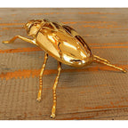 北欧雑貨 インテリア おしゃれ 真鍮 昆虫 メタル オオクワガタ メス Stag beetle worm スタッグビートル ブラス ブロストコペンハーゲン METAL Broste Copenhagen 06BS1