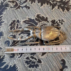 北欧雑貨 インテリア おしゃれ メタル シルバー 銀 昆虫 ノコギリクワガタ Stag beetle スタッグ ビートル ブロストコペンハーゲン METAL Broste Copenhagen 06S3