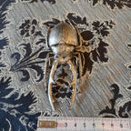 北欧雑貨 インテリア おしゃれ メタル シルバー 銀 昆虫 ノコギリクワガタ Stag beetle スタッグ ビートル ブロストコペンハーゲン METAL Broste Copenhagen 06S3