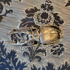 北欧雑貨 インテリア おしゃれ メタル シルバー 銀 昆虫 ノコギリクワガタ Stag beetle スタッグ ビートル ブロストコペンハーゲン METAL Broste Copenhagen 06S3