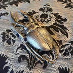 北欧雑貨 インテリア おしゃれ メタル シルバー 銀 昆虫 ノコギリクワガタ Stag beetle スタッグ ビートル ブロストコペンハーゲン METAL Broste Copenhagen 06S3