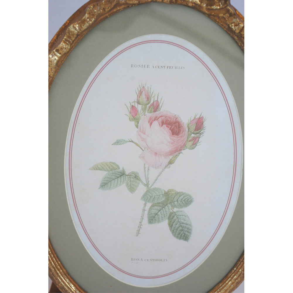 リボン バラ額絵 壁掛け ルドゥーテ バラ ピンク 楕円 薔薇 ヴィクトリア ゴールド 金 クラシック 1383187