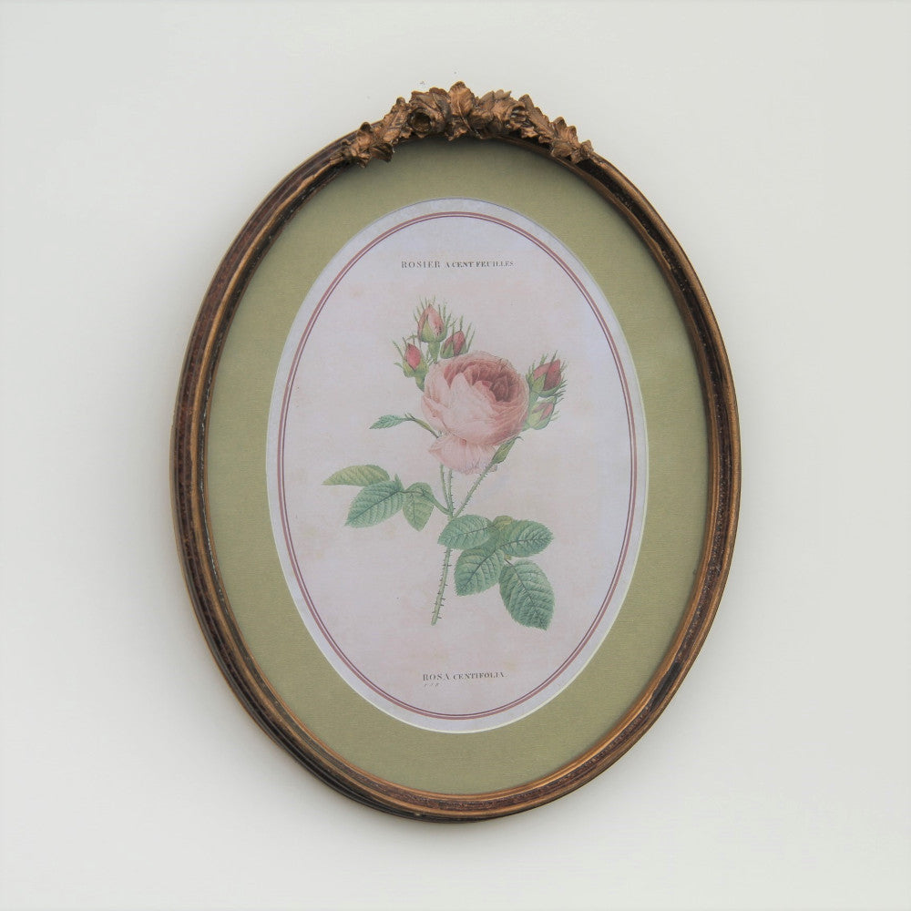 ルドゥーテ 薔薇の額絵 壁掛け 額縁 可愛い アンティーク風 バラ額 バラ ピンク 楕円 薔薇 ヴィクトリア ゴールド 金 クラシック 1383203