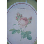 ルドゥーテ 薔薇の額絵 壁掛け 額縁 可愛い アンティーク風 バラ額 バラ ピンク 楕円 薔薇 ヴィクトリア ゴールド 金 クラシック 1383203