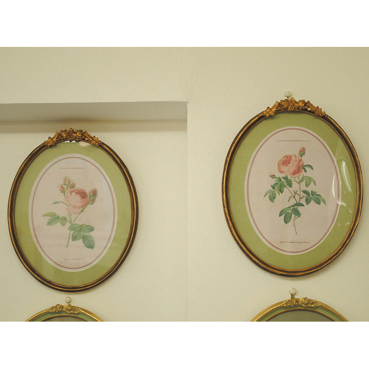 ルドゥーテ 薔薇の額絵 壁掛け 額縁 可愛い アンティーク風 バラ額 バラ ピンク 楕円 薔薇 ヴィクトリア ゴールド 金 クラシック 1383203