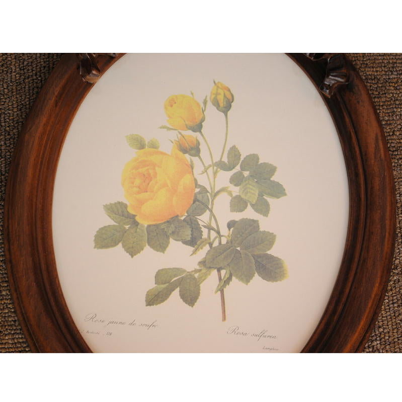 ルドゥーテ バラ額絵 リボン額縁 木製額 バラ イエロー 黄色 楕円 薔薇 イタリア製 デコールトスカーナ ITALY DekorToscana 937003